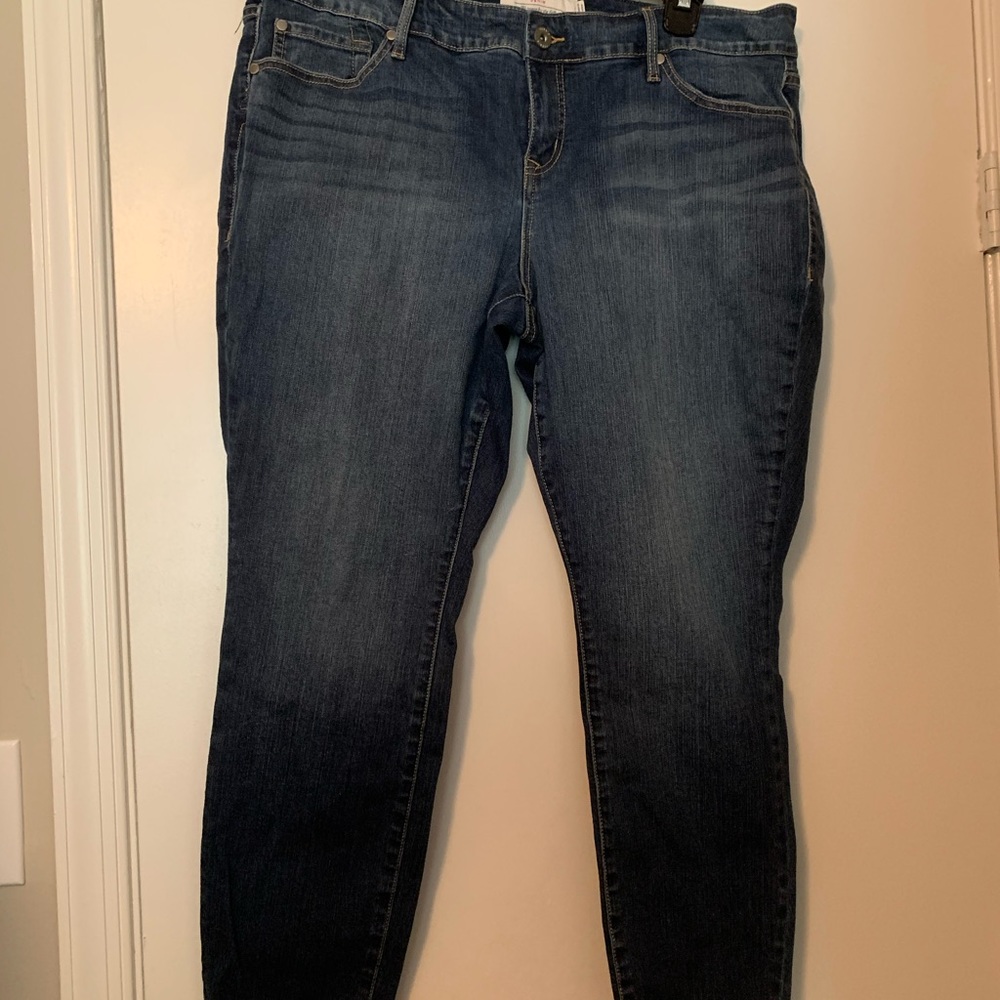 Torrid Skinny Jean